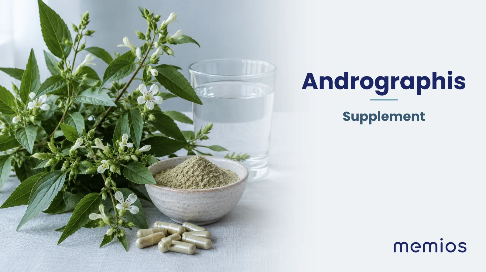 Photograph for Andrographis: its natural source and a bowl of powder or capsules on pale linen.