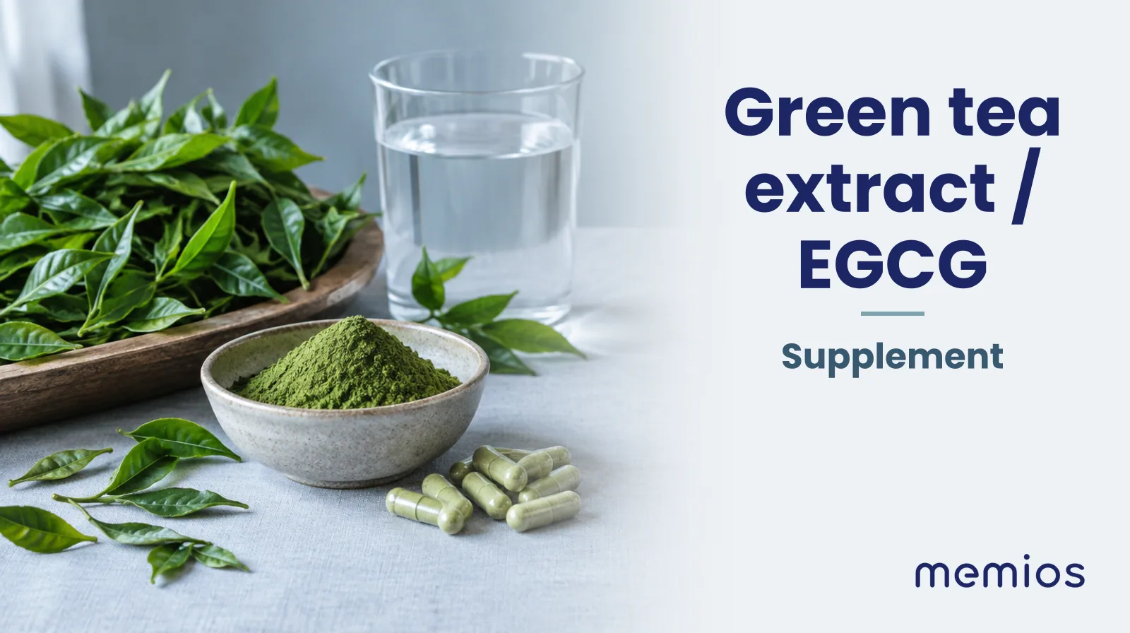 Photograph for Green tea extract / EGCG: its natural source and a bowl of powder or capsules on pale linen.
