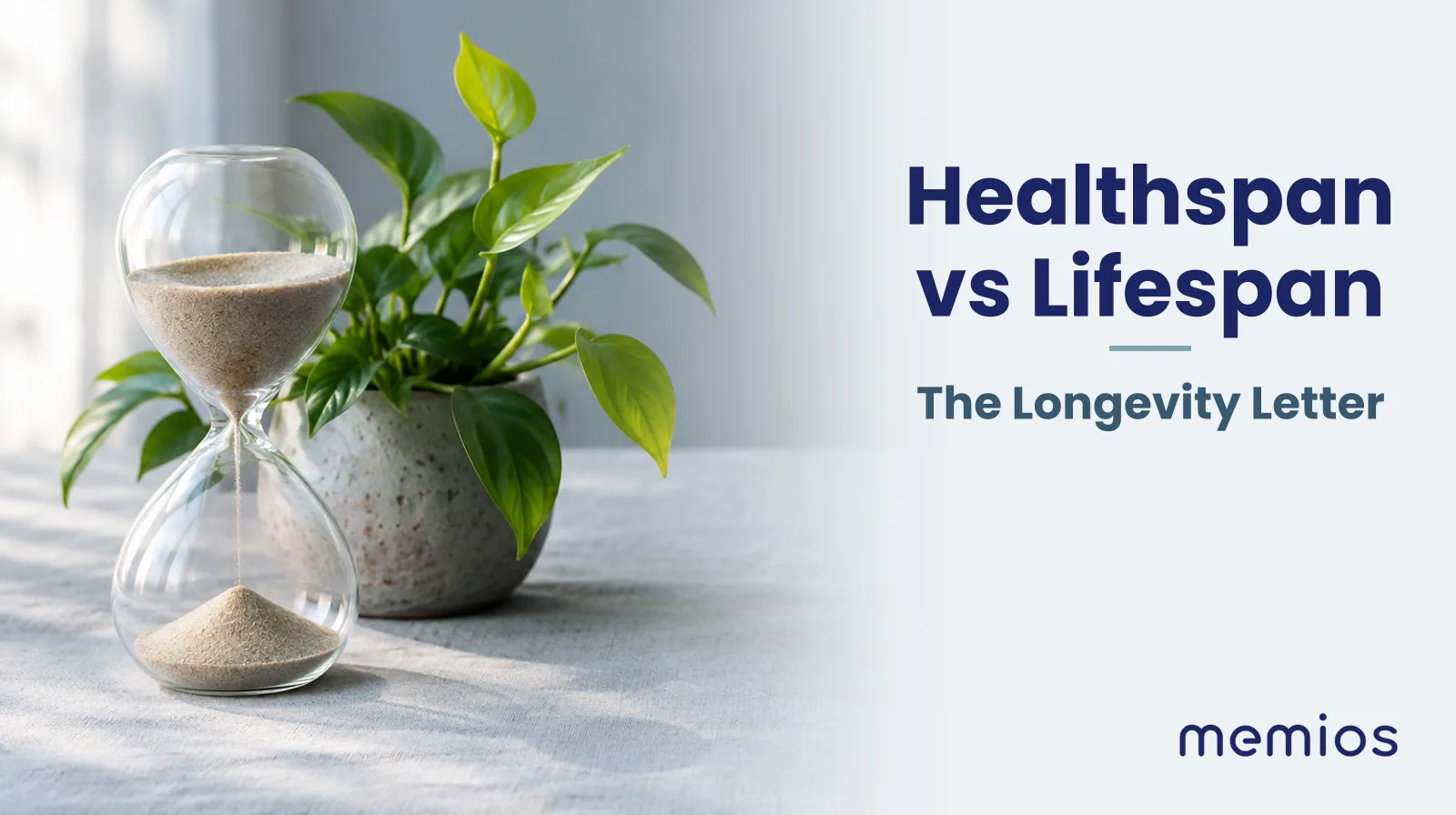 Photograph for Healthspan vs Lifespan: an hourglass and a small green plant with new leaves on the linen, soft morning light.