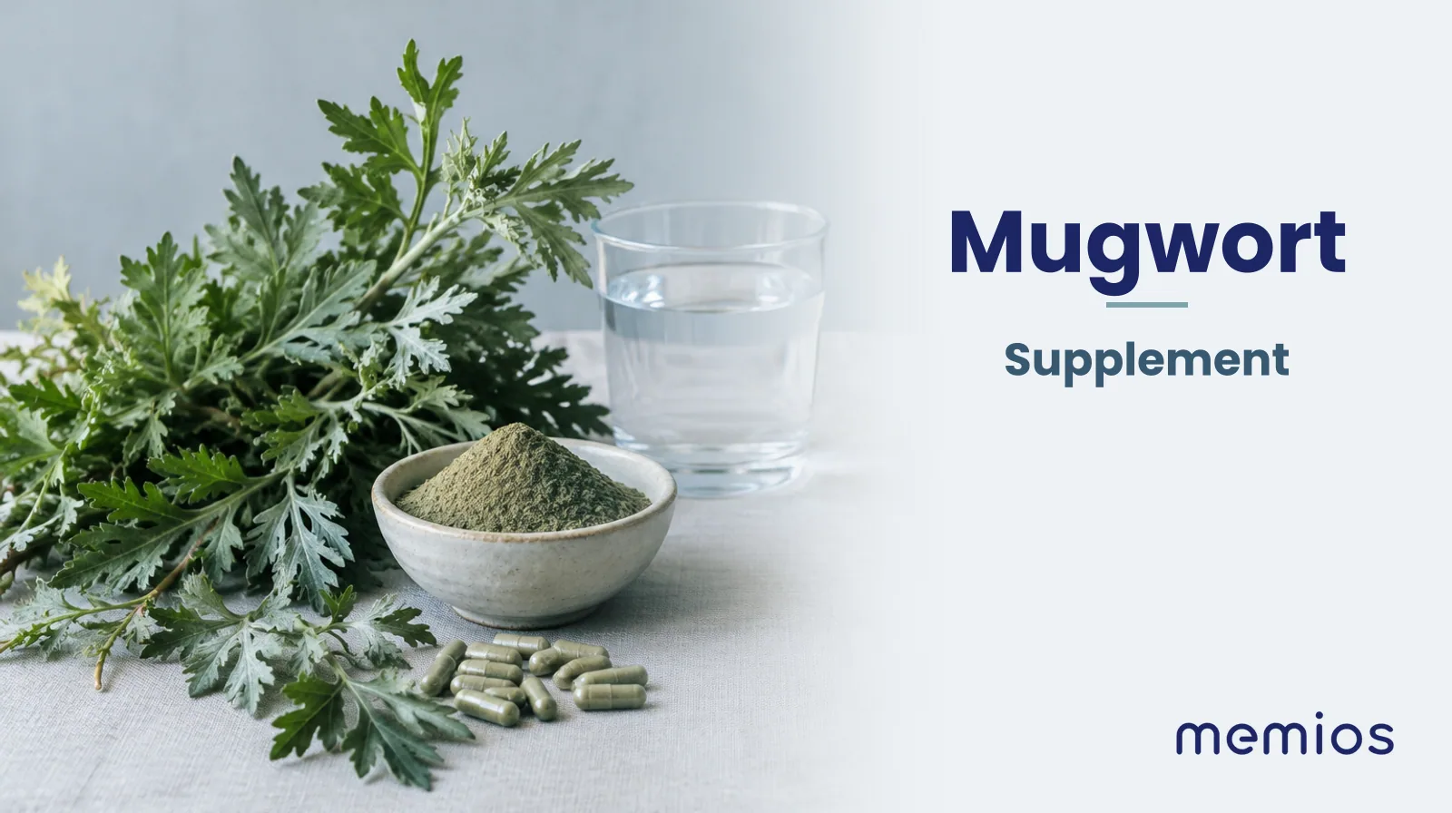 Photograph for Mugwort: its natural source and a bowl of powder or capsules on pale linen.