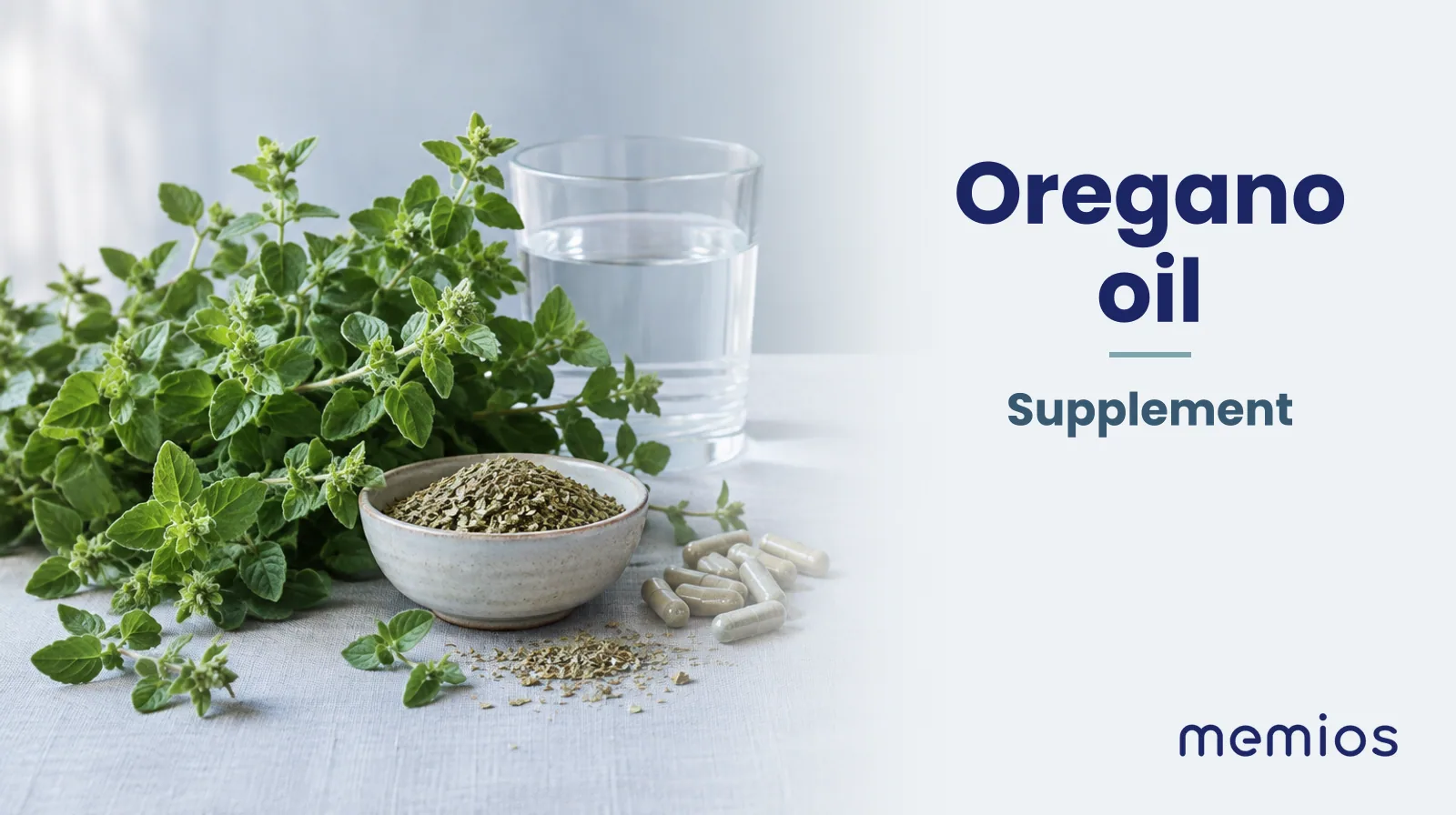 Photograph for Oregano oil: its natural source and a bowl of powder or capsules on pale linen.