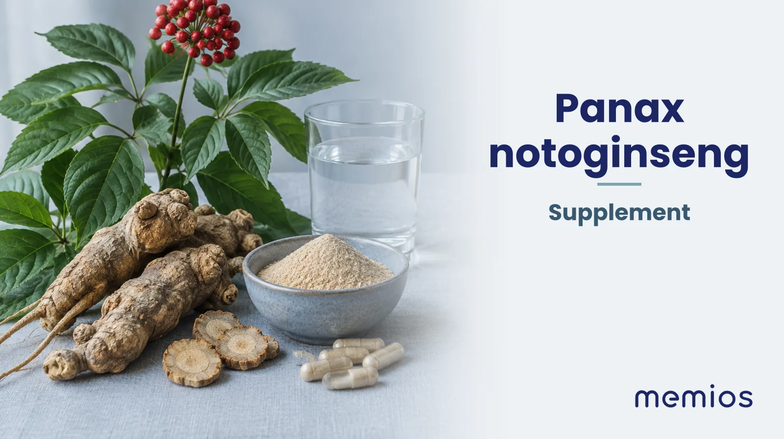 Photograph for Panax notoginseng: its natural source and a bowl of powder or capsules on pale linen.