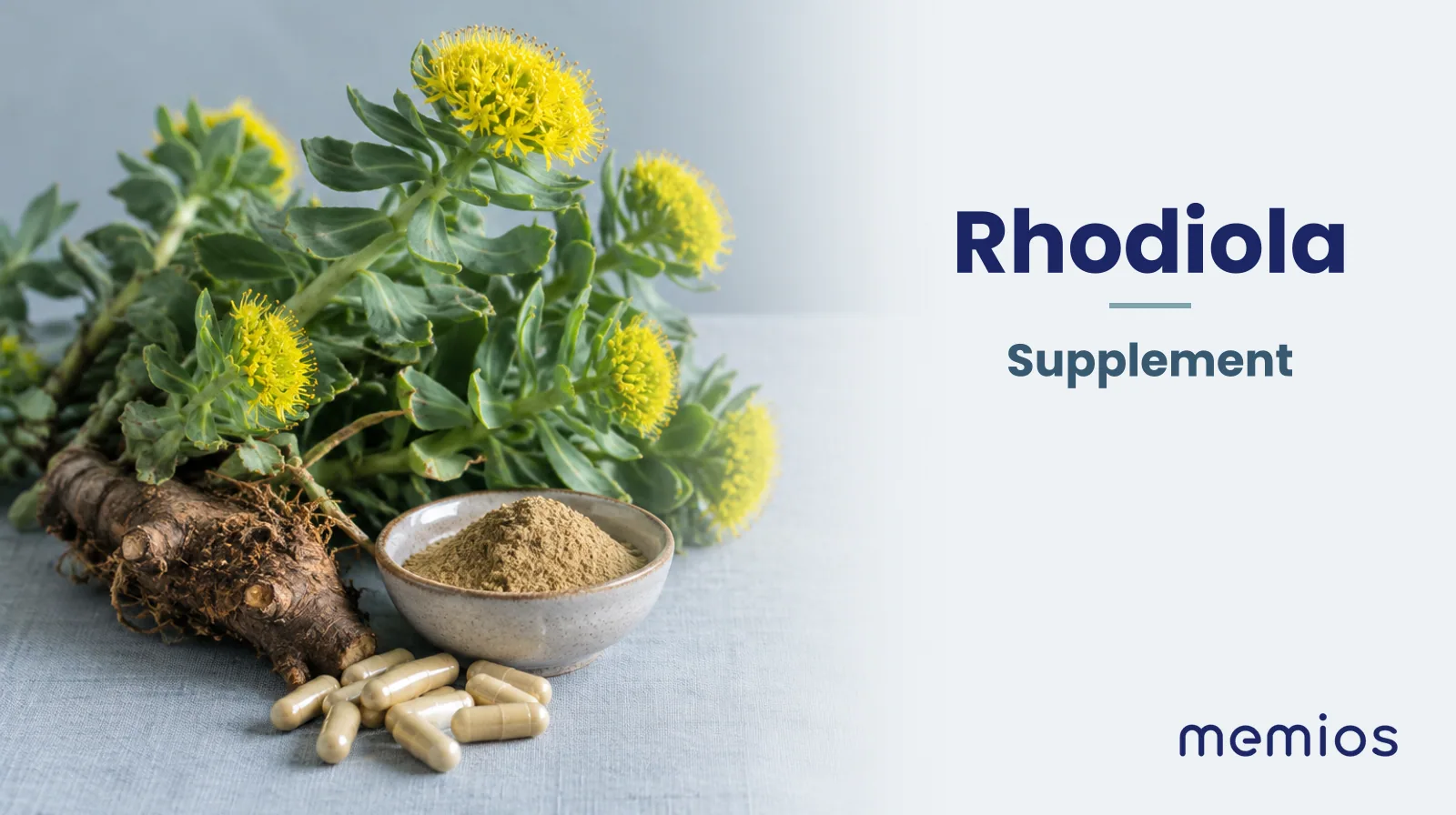 Photograph for Rhodiola: its natural source and a bowl of powder or capsules on pale linen.