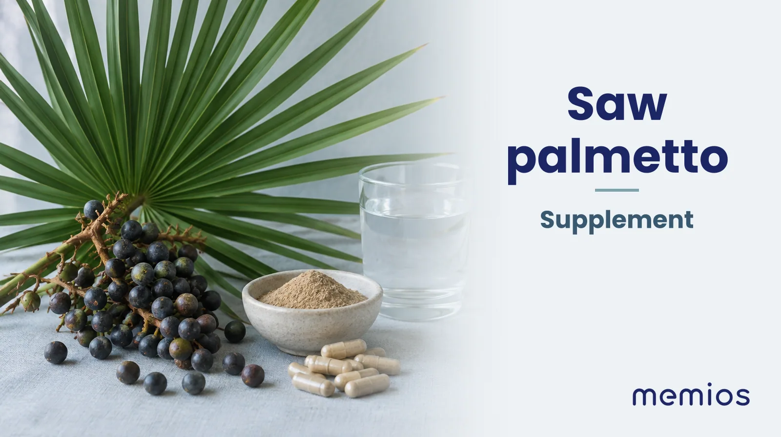 Photograph for Saw palmetto: its natural source and a bowl of powder or capsules on pale linen.