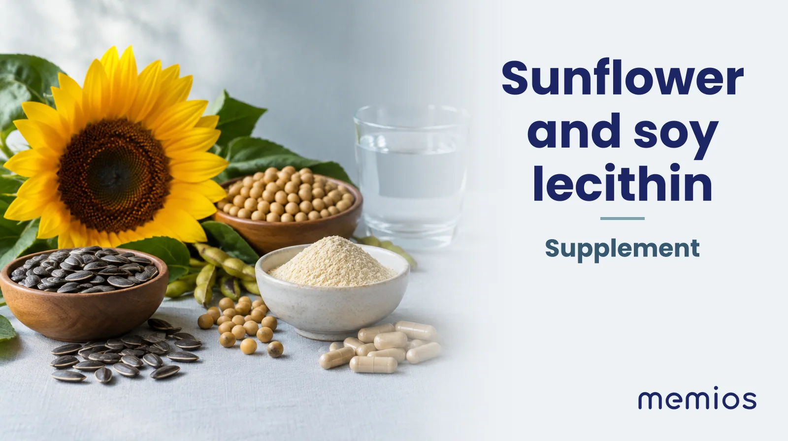 Photograph for Sunflower and soy lecithin: its natural source and a bowl of powder or capsules on pale linen.